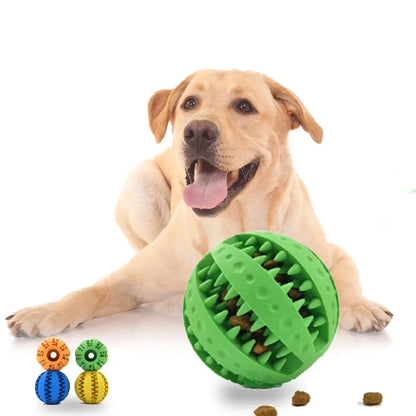 New Pet Dog Toy Interactive Rubber Balls for Small Large Dogs Puppy Cat Chewing Toys Pet Tooth Cleaning Indestructible Dog Ball
